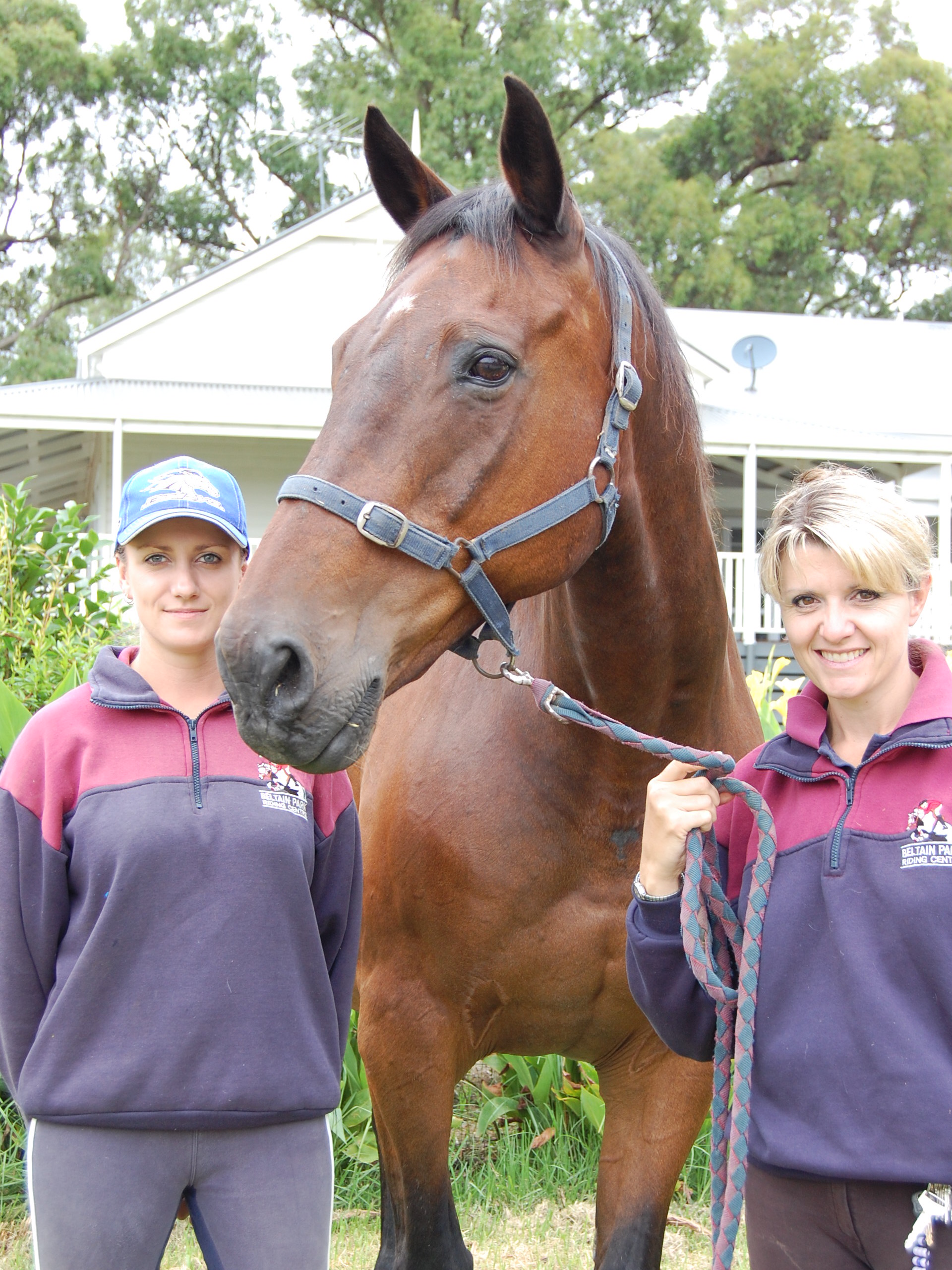 Contact Us Horse Riding Lessons Melbourne